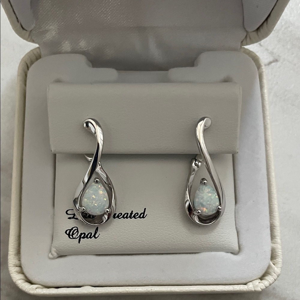 Elegant Silver Opal Earrings